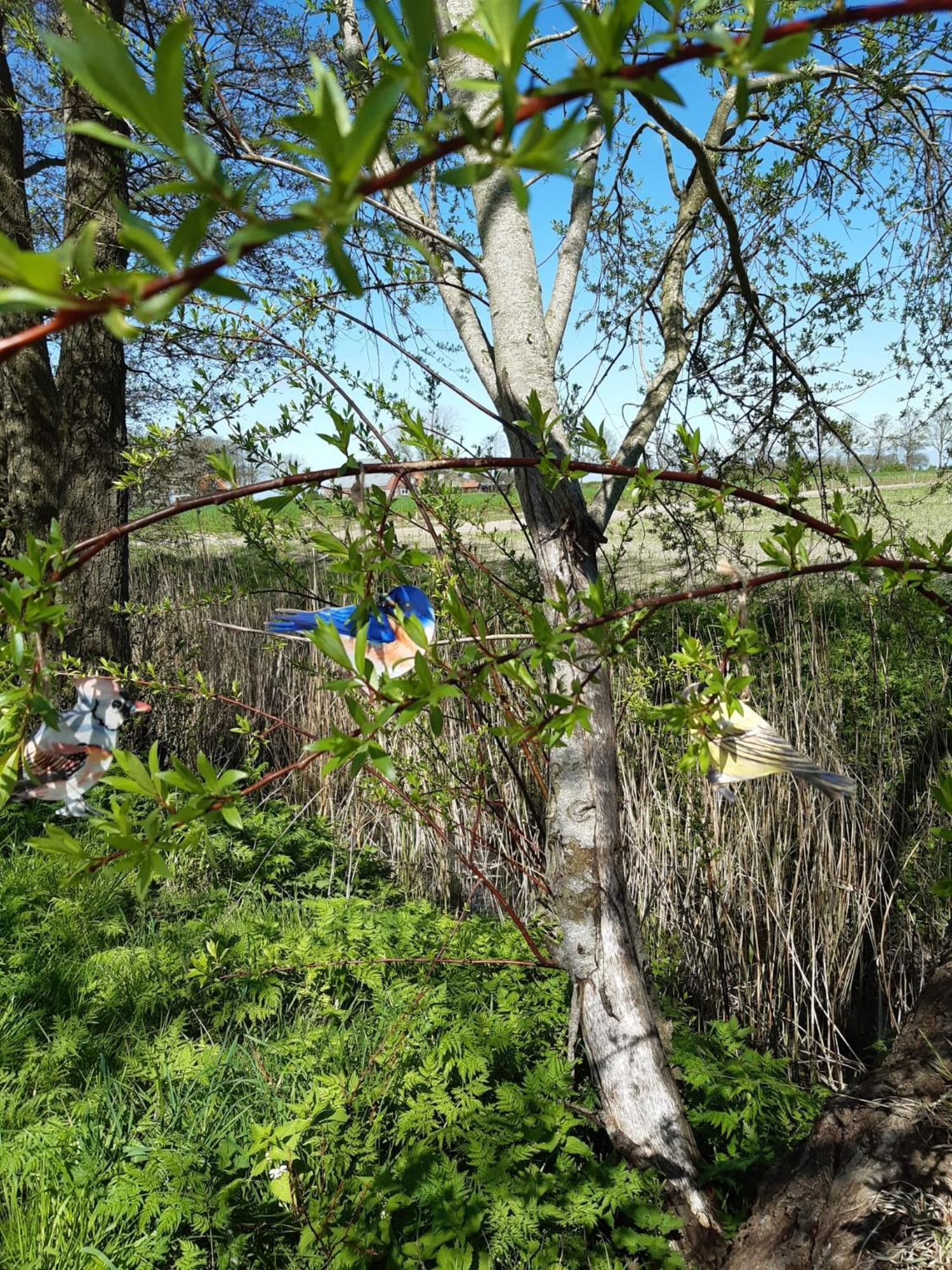 B&B Weidse Blik Ingelum Engelum Εξωτερικό φωτογραφία